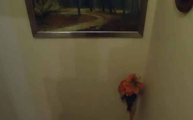 Barokk Vendégház