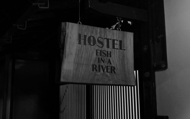 Hostel Fish In A River