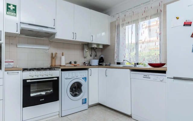 Akisol Olhos de Agua Pine II