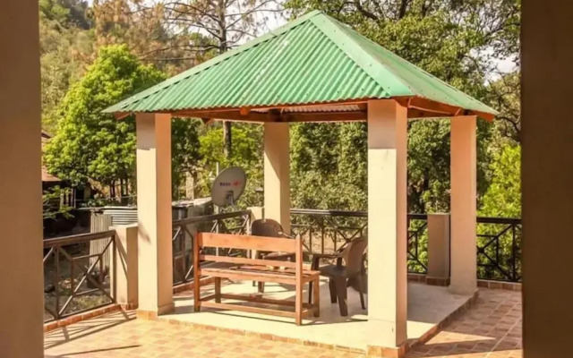The Camphor Tree - Pura Stays