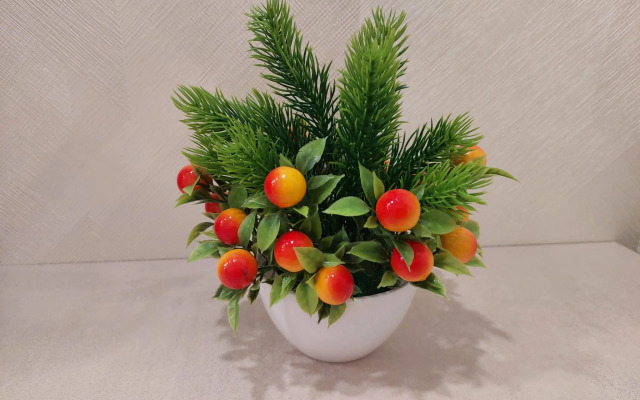 Апартаменты Северный берег на проспекте Ломоносова 98