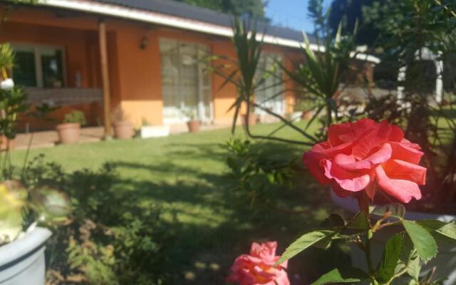 Rose of Sharon