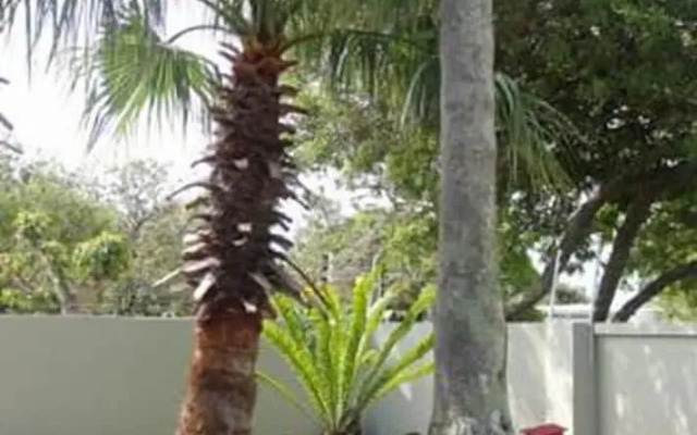 Walmer Manor Guesthouse