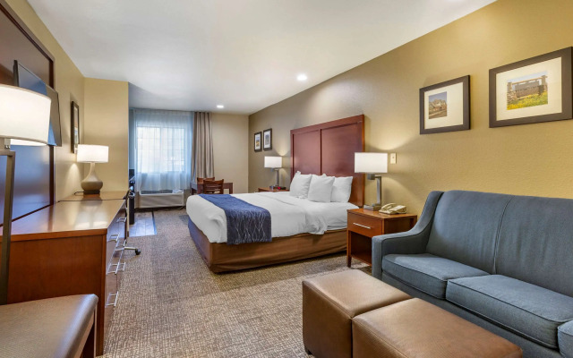 Comfort Inn Flagstaff South I-17