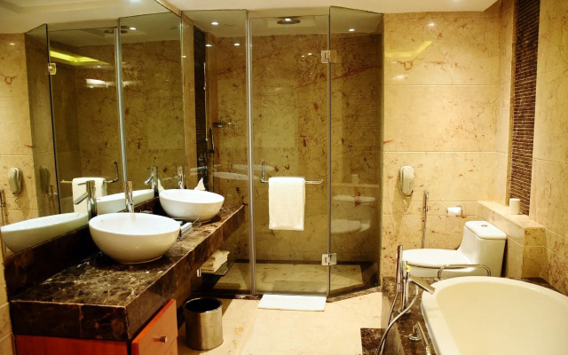 Radisson Blu Plaza Delhi Airport