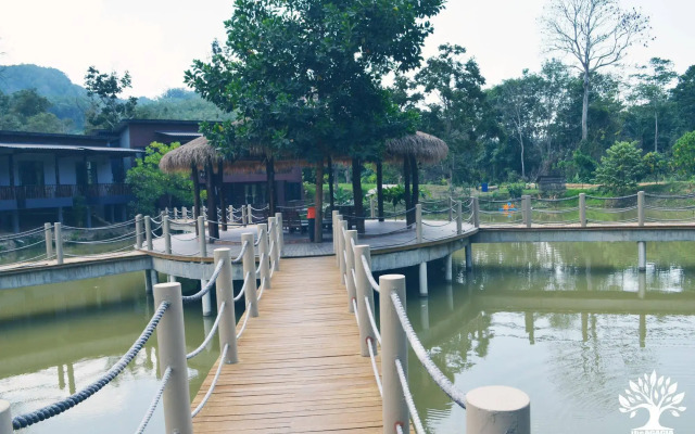 The Acacia Retreat