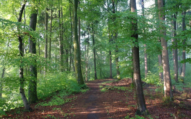 Waldgasthof Buchenhain