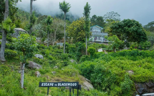 Blackwood Hotel