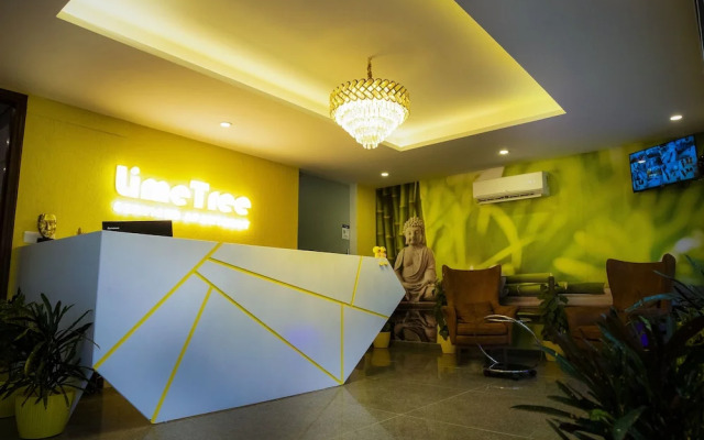 Lime Tree Luxury Studio