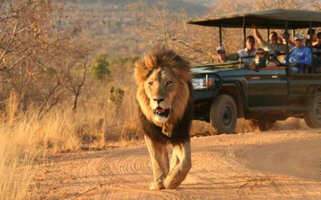 Makweti Safari Lodge
