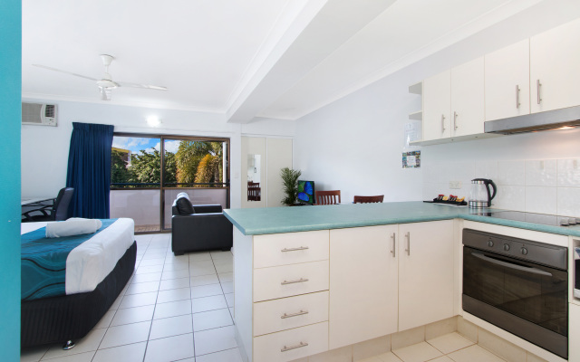 Cairns City Palms