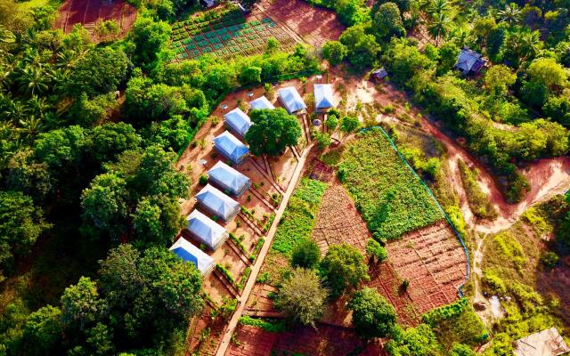 Rangiri Dambulla Resort