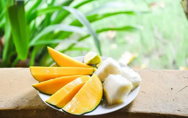 Ankobra Beach Resort