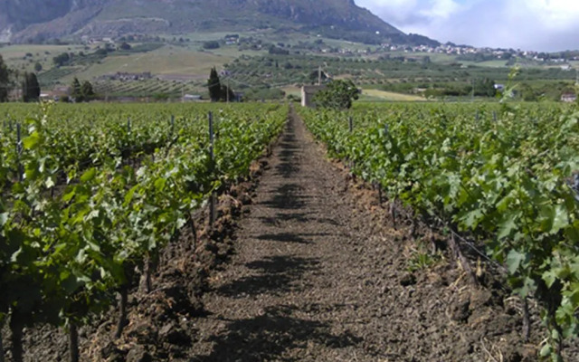 Agriturismo Castelluzzo