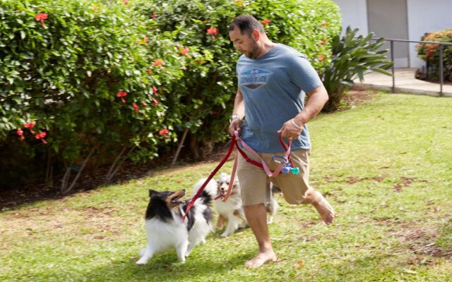 Best Western The Plaza Hotel Honolulu Airport