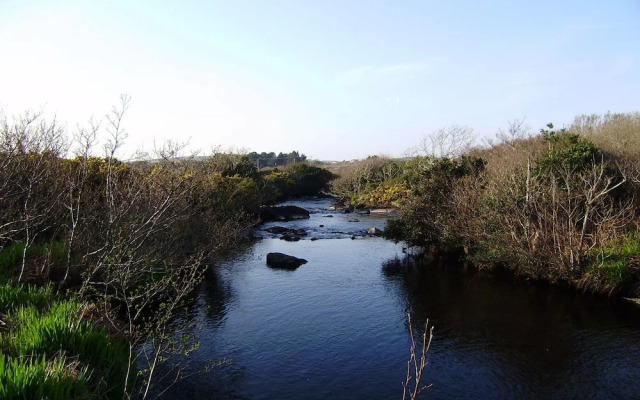 Cloverfox Connemara