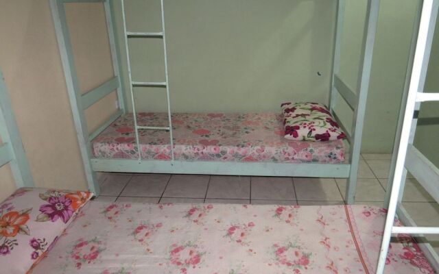 Livia Hostel Pousada