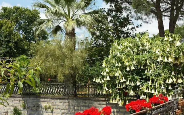 Etna Sweet Home