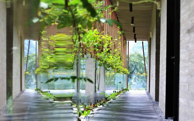Onsen Papawaqa