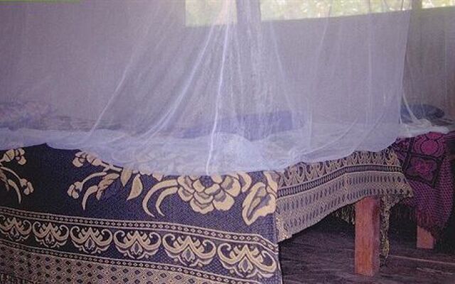 Ecological Jungle Trips & Amazon Lodge