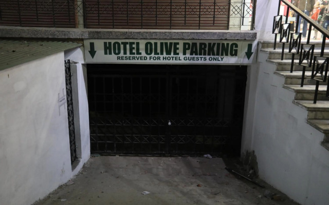 VIPs Hotel Olive