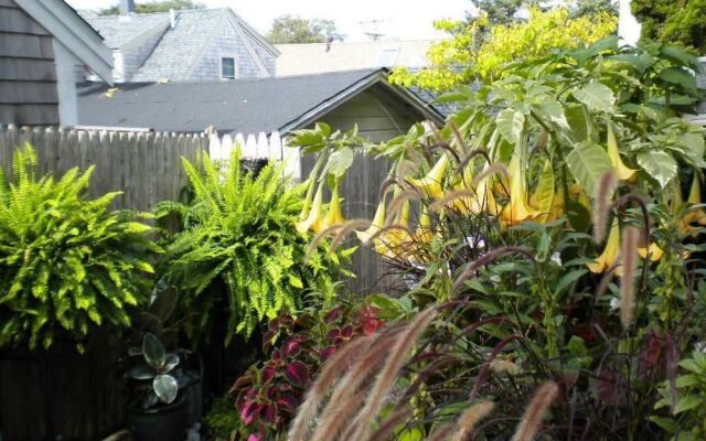 Mercury Hotel Provincetown