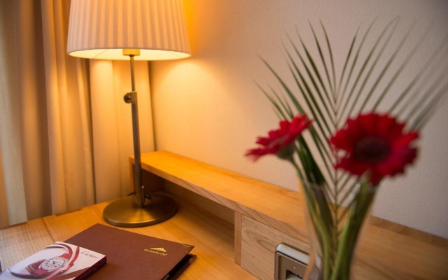 Standard Double room (full double bed) (small)