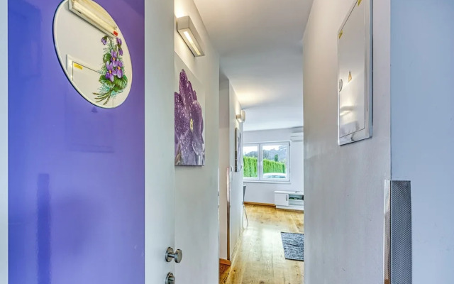 Wellness Suite Viola