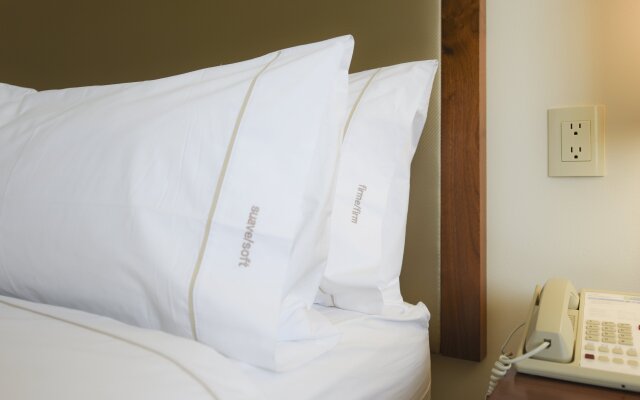 Holiday Inn Express & Suites Celaya by IHG