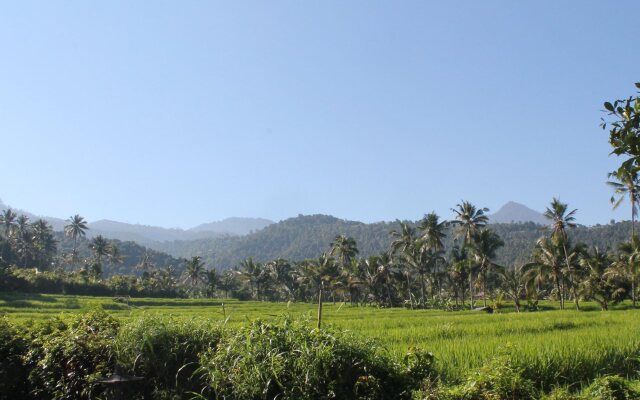 Amartya Puri Green Cottages