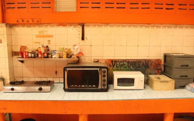 The Overstay Art Hostel