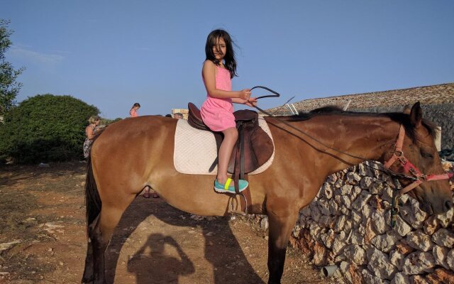 Matxani Gran Agroturismo