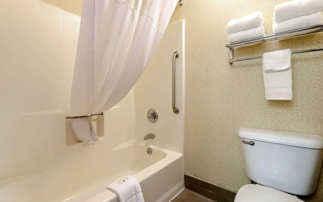 Quality Suites San Antonio Northeast