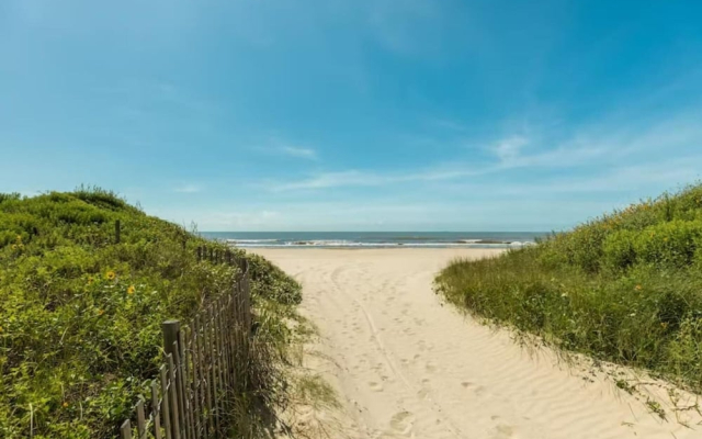 A Perfect View in Bolivar Peninsula