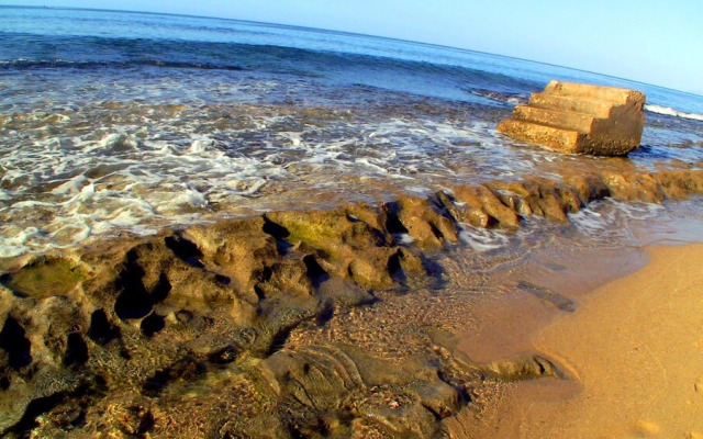 West Coast Inn's Rincon