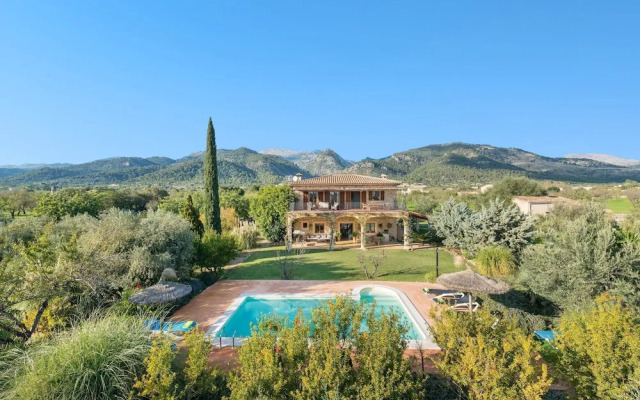 Cas Colector in Selva