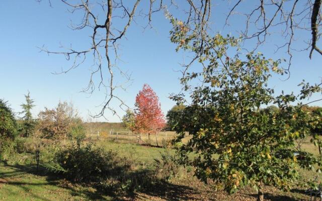 B&B La Ferme Aux Fleurs