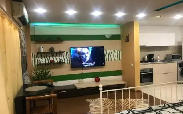 EVS Apartments Ghica Tei