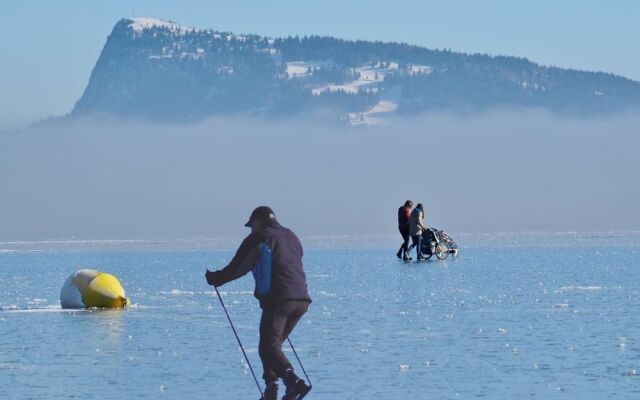 Hôtel Bellevue Le Rocheray