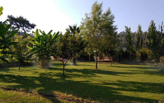 Yesil Bahce Bungalow - Ahsap Evler