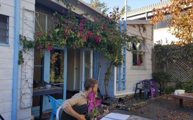 Napier Art House Backpackers