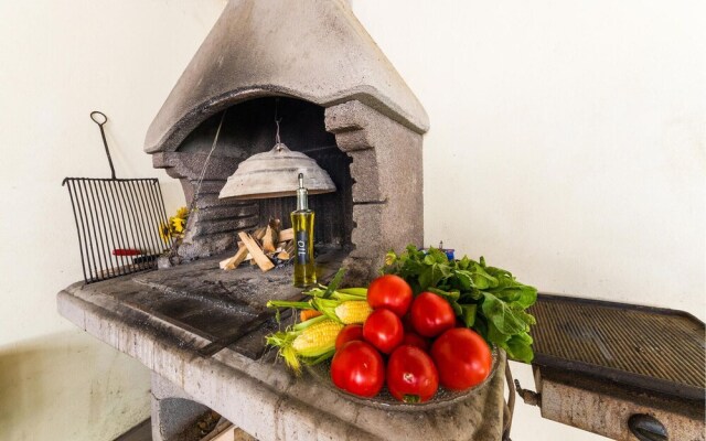 Awesome Apartment in Petrcane With Wifi and 1 Bedrooms