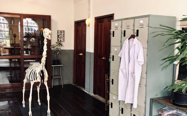 The Lab Poshtel