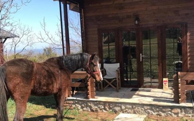 Olympus Horse Riding Club Wooden Horse House Nafar