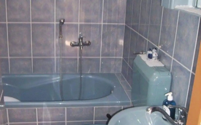 Apartment Mirjana
