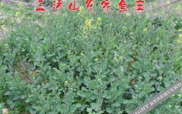 Shangrao Sanqing Mountain Nongjia Yuzhuang