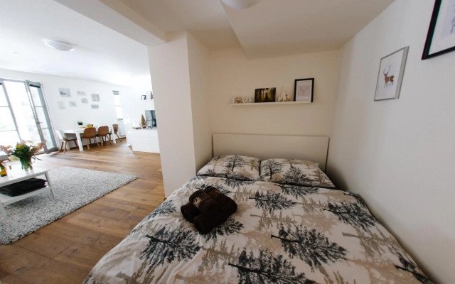 Apartmán s nádherným výhledem v centru Harrachova