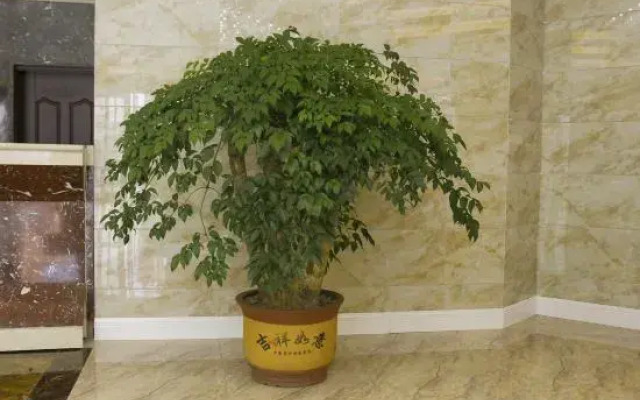 Xi Shui Yu Jing Hotel