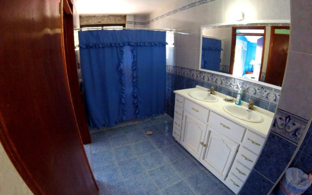 The Blue Room