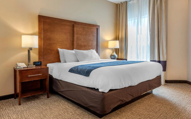 Comfort Inn Apalachin / Binghamton W Route 17